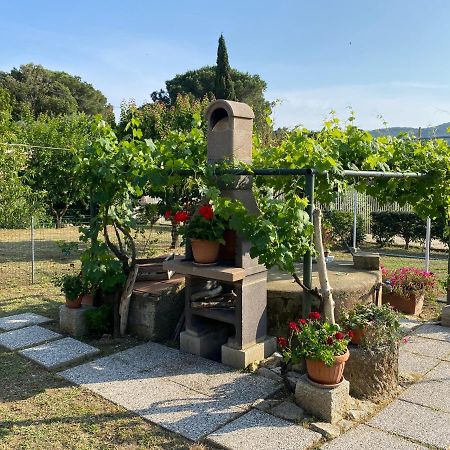 Villetta Di Rosa Procchio  Exterior photo